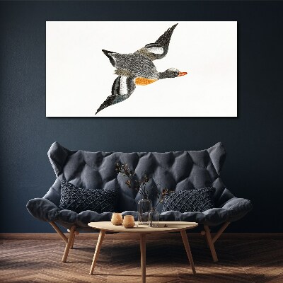 Drawing animal bird Canvas Wall art