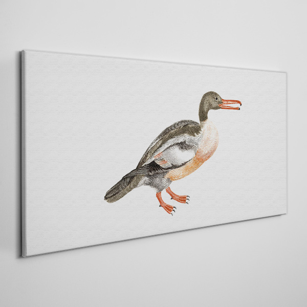 Duck on a white canvas background Canvas wall art