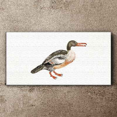 Duck on a white canvas background Canvas wall art