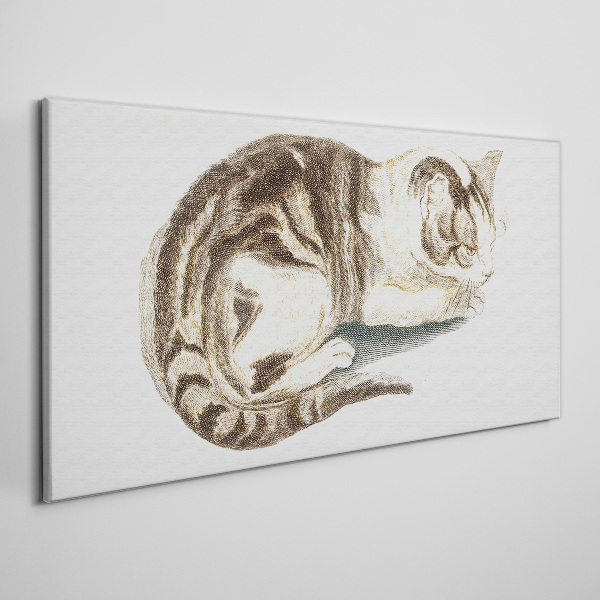 Sleepy cat on white background Canvas wall art