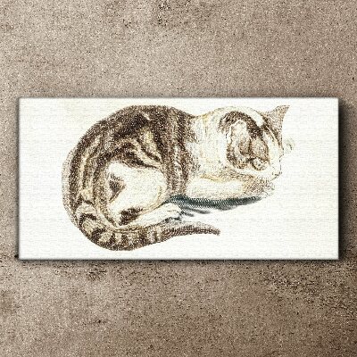 Sleepy cat on white background Canvas wall art