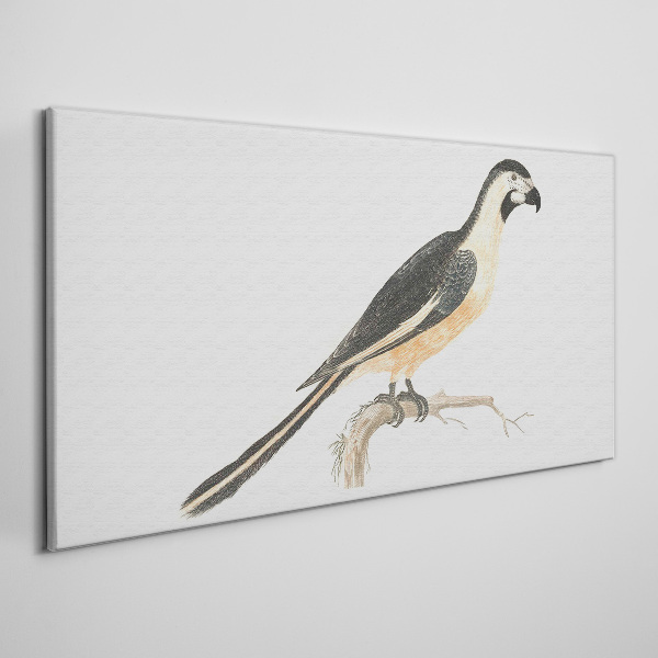 Bird on a branch Print on canvas