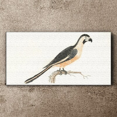 Bird on a branch Print on canvas