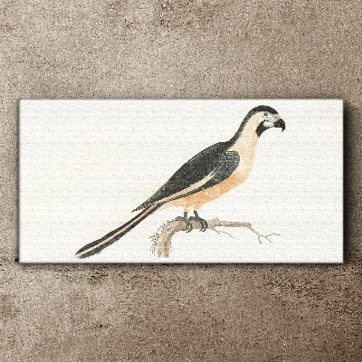 Figure animal bird branch Canvas Wall art