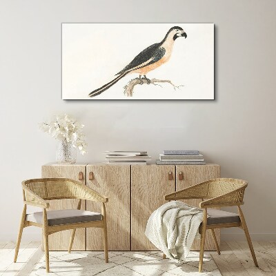 Bird on a branch Print on canvas