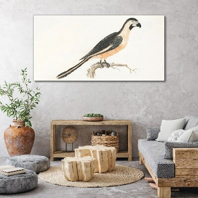 Bird on a branch Print on canvas