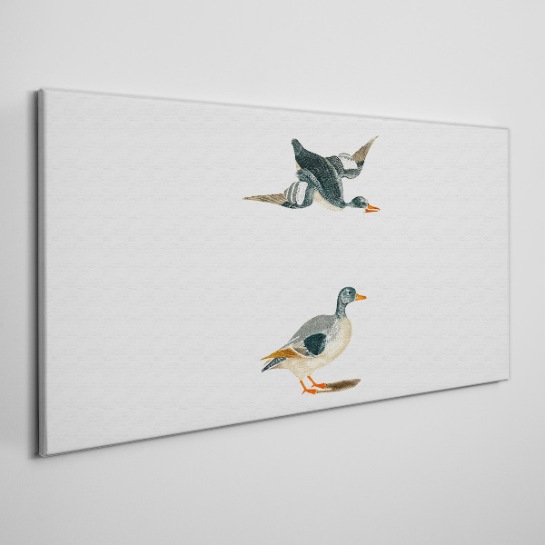 Waterbirds in flight and on the ground Print on canvas