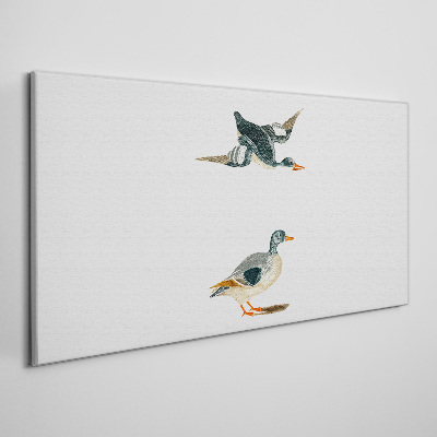 Waterbirds in flight and on the ground Print on canvas