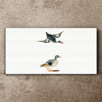 Waterbirds in flight and on the ground Print on canvas