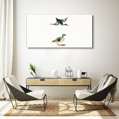 Waterbirds in flight and on the ground Print on canvas