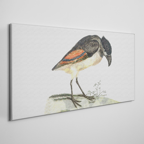 Drawing animal bird Canvas Wall art