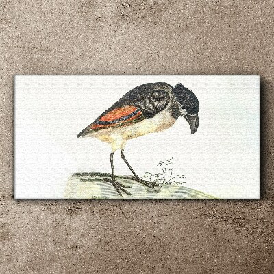 Drawing animal bird Canvas Wall art