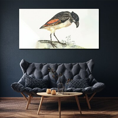 Drawing animal bird Canvas Wall art