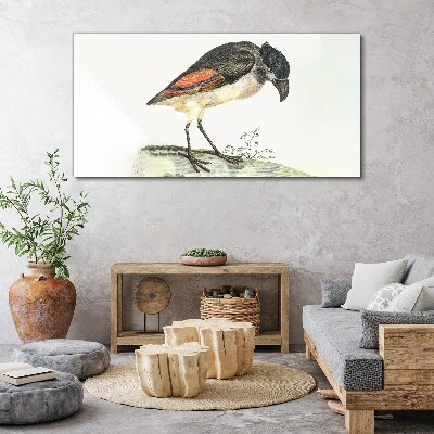 Drawing animal bird Canvas Wall art