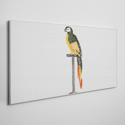 Drawing animal bird parrot Canvas Wall art