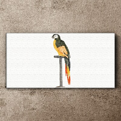 A parrot against a white wall Canvas wall art