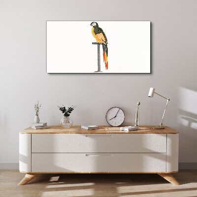 A parrot against a white wall Canvas wall art