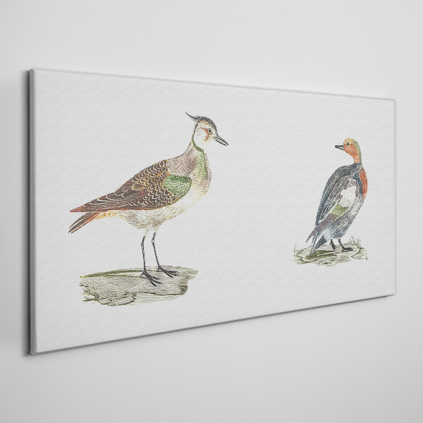 Colorful birds on a white background Canvas wall art