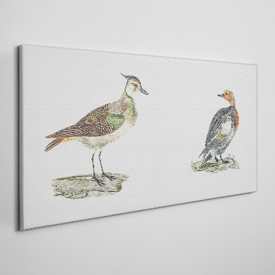 Colorful birds on a white background Canvas wall art