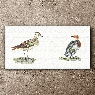 Colorful birds on a white background Canvas wall art