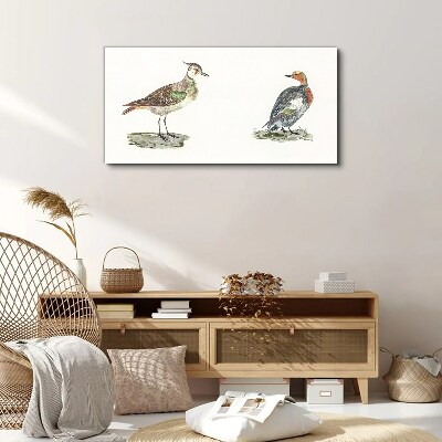 Colorful birds on a white background Canvas wall art