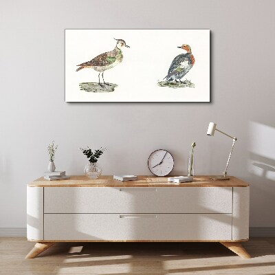 Colorful birds on a white background Canvas wall art