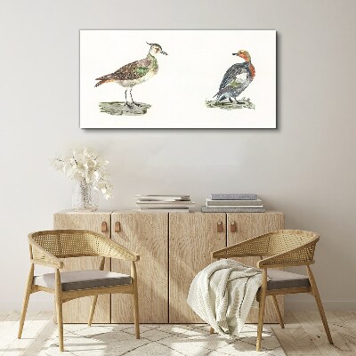 Colorful birds on a white background Canvas wall art