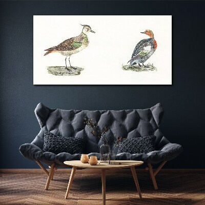Colorful birds on a white background Canvas wall art