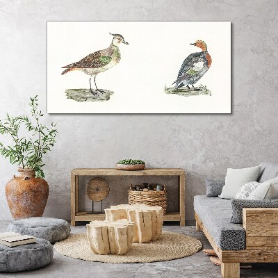 Colorful birds on a white background Canvas wall art