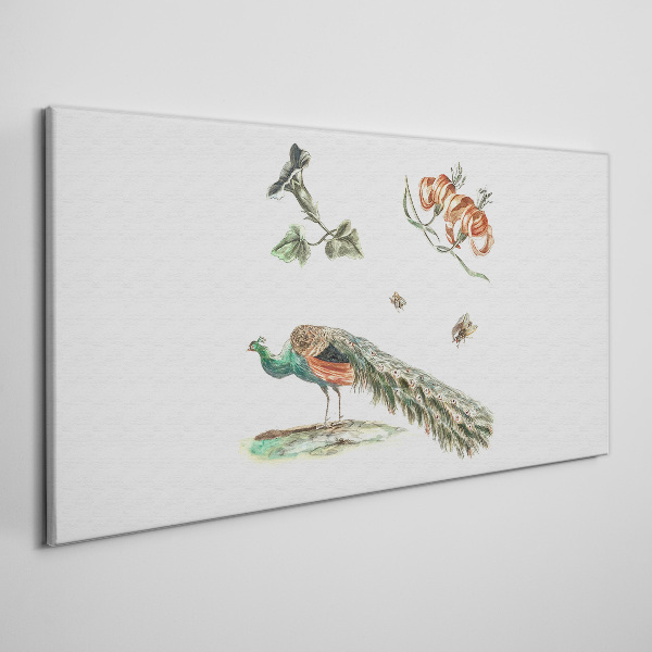 Peacock among flowers and insects Canvas wall art