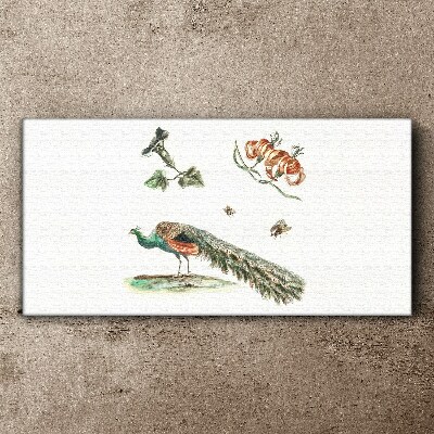 Peacock among flowers and insects Canvas wall art