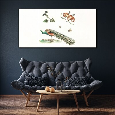 Peacock among flowers and insects Canvas wall art