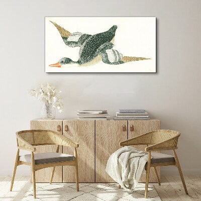 Drawing animal bird duck Canvas Wall art