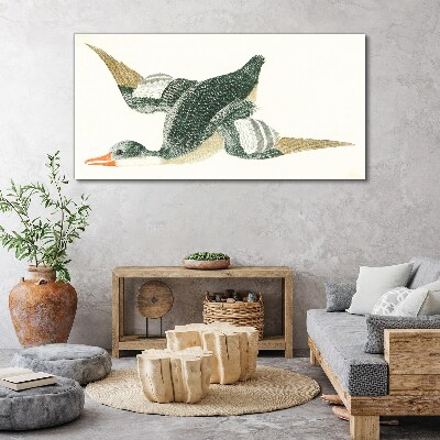 Drawing animal bird duck Canvas Wall art