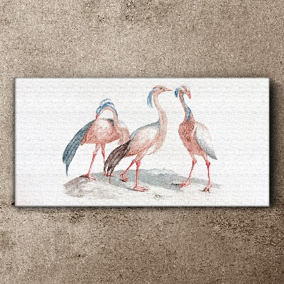 Three pink flamingos on a white background Canvas wall art