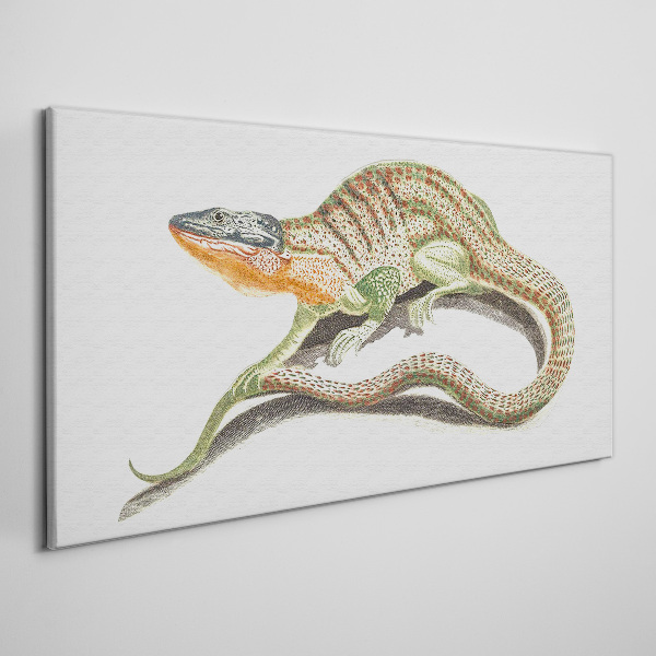 Colorful lizard in motion Print on canvas