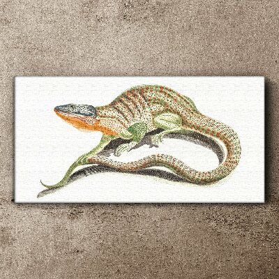 Colorful lizard in motion Print on canvas
