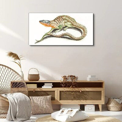 Colorful lizard in motion Print on canvas