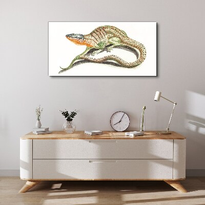 Colorful lizard in motion Print on canvas