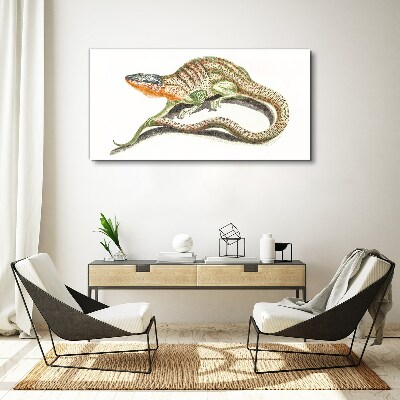 Colorful lizard in motion Print on canvas