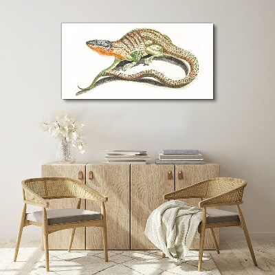 Colorful lizard in motion Print on canvas