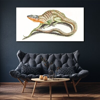 Colorful lizard in motion Print on canvas