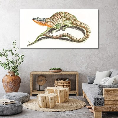 Colorful lizard in motion Print on canvas