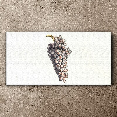 Grapes in soft light Print on canvas