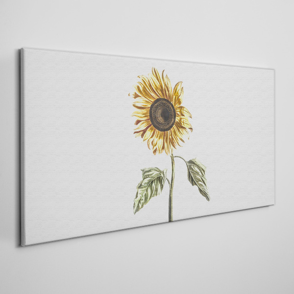 Sunflower flower on white background Canvas wall art