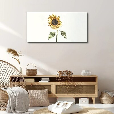 Sunflower flower on white background Canvas wall art