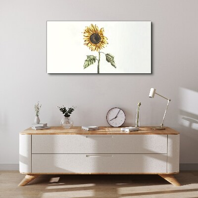 Sunflower flower on white background Canvas wall art