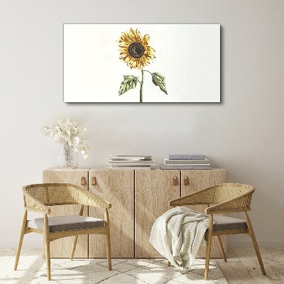 Sunflower flower on white background Canvas wall art