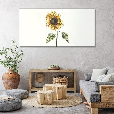 Sunflower flower on white background Canvas wall art