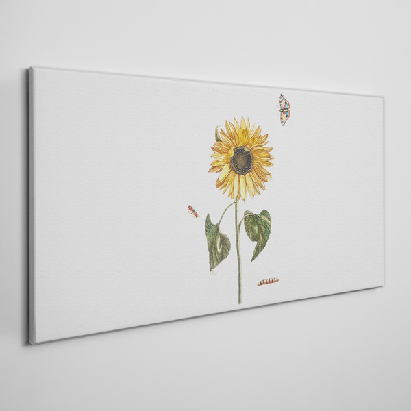 Sunflower in a delicate composition Print on canvas